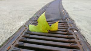 leaf on drain